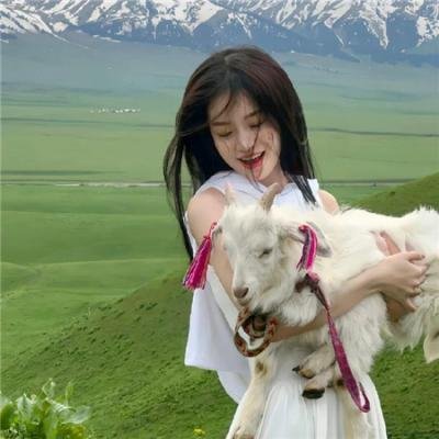 爱情公寓2